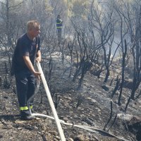 Požar kod Živogošća