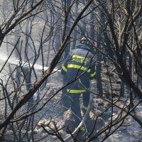 Požar kod Živogošća