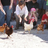 Jack s 'Pečenom' na startu utrke 2016. kada su također pobijedili