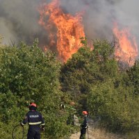 Požar kod Perkovića