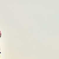 Požar kod Perkovića