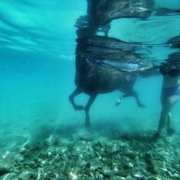 Farma konja Kukurin, Srećko Vukov i Ivana Jakopović