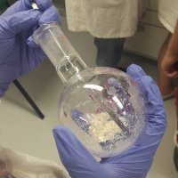 Ljetna škola znanosti u Višnjanu