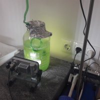 Ljetna škola znanosti u Višnjanu