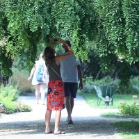 Botanički vrt u Zagrebu