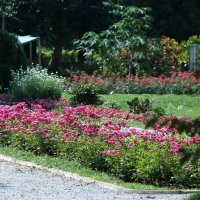 Botanički vrt u Zagrebu