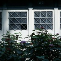 Botanički vrt u Zagrebu