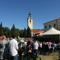 Tisuće vjernika obilježavaju blagdan Velike Gospe na Trsatskom svetištu