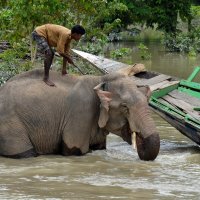 Poplave u Indiji i Nepalu