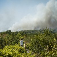 Požar kod Zatona i Rasline