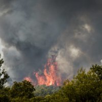 Požar kod Zatona i Rasline