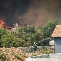 Požar kod Zatona i Rasline