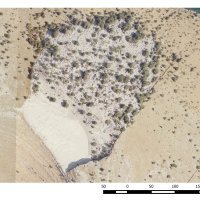 Vela ploča na Kornatima