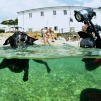 Humanitarna akcija Morski pas