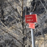 Požarište u Dubcima