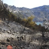 Požarište u Dubcima