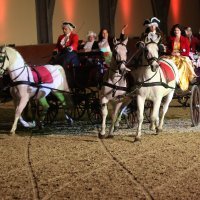 Božićna predstava u zatvorenoj jahaonici