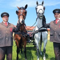 Državna ergela Đakovo