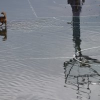 Olujno nevrijeme koje je poharalo karlovačkim područjem donijelo je probleme u prometu