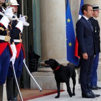 Macron i njegov pas Nemo