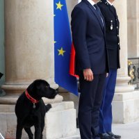 Macron i njegov pas Nemo