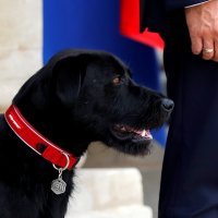 Macron i njegov pas Nemo