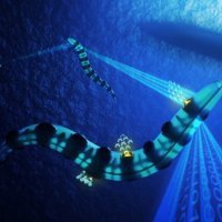 Kraljevska mornarica podmornica