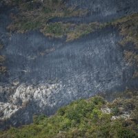 Kolinda Grabar Kitarović i ministar Damir Krstičević obišli su požarište na planini Promini