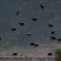 Posljedice uragana Harvey