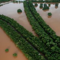 Posljedice uragana Harvey