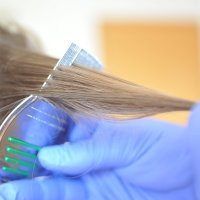 Goran Vlah, uši gnjide