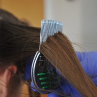 Goran Vlah, uši gnjide