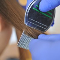 Goran Vlah, uši gnjide