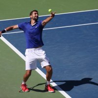 Schwartzman vs Čilić (5)