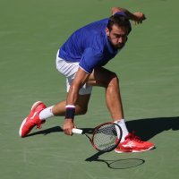 Schwartzman vs Čilić (6)