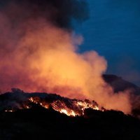 Požar u Los Angelesu