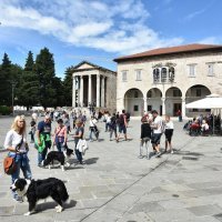 Pula: Stara gradska jezgra nakon razvedravanja opet je puna turista