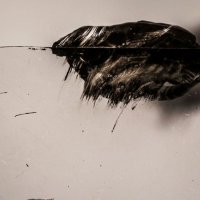 'Trip', Marko Meštrović