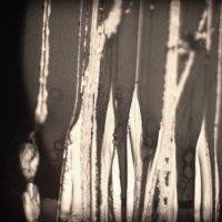 'Skoro ništa - i dalje noć', Davor Sanvincenti