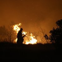 Požar se proširio prema Gornjoj Podstrani