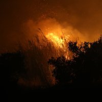 Požar se proširio prema Gornjoj Podstrani