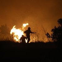 Požar se proširio prema Gornjoj Podstrani
