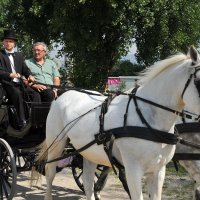 Voznje kočijom po Donjem gradu i Maksimiru