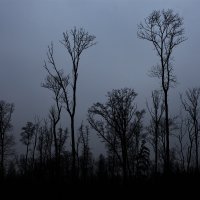 Udaljen od ljudi (2)