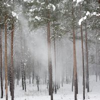 Udaljen od ljudi (5)