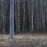 Udaljen od ljudi (6)