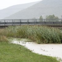 Nabujala rijeka Raša