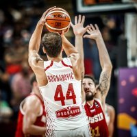 Bojan Bogdanović protiv Rusije