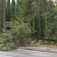 Jako jugo praćeno nevremenom pogodilo je i Šibenik