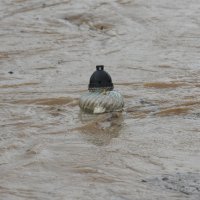 U Zadru poplavljeno i groblje